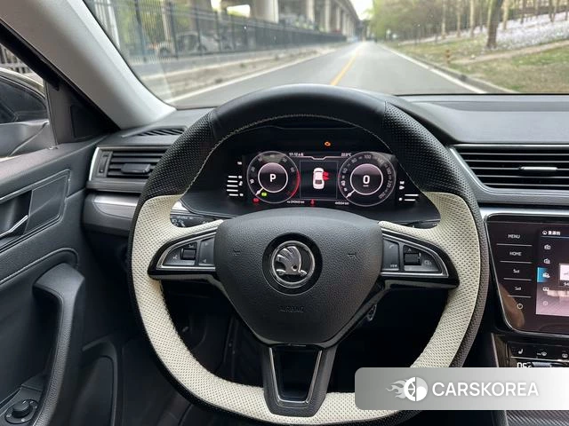 Skoda Speed pie id 3858043 из Китая 14
