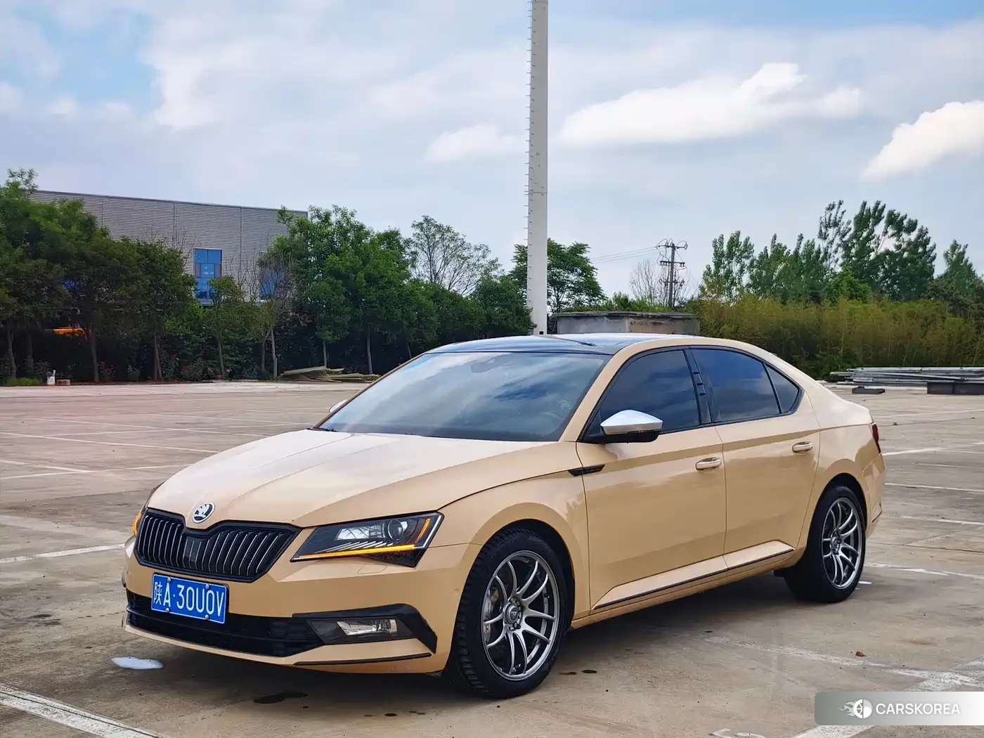 Skoda Speed pie id 4577748 из Китая 8