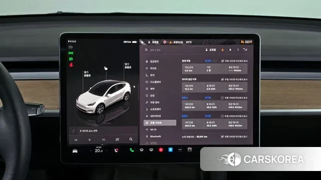 Tesla Model Y id 3196527 из Кореи 18