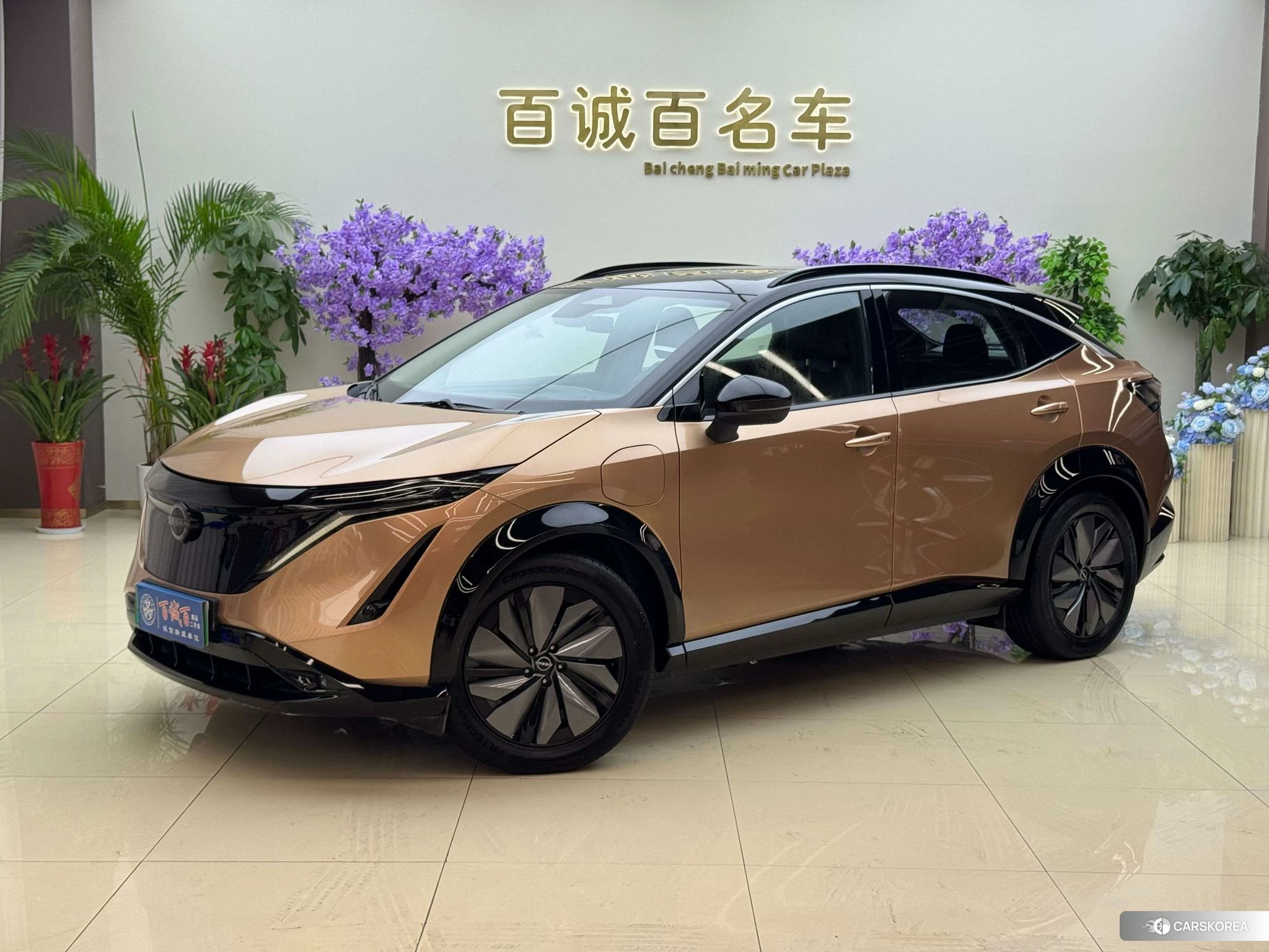 Nissan ARIYA id 4492993 из Китая 15