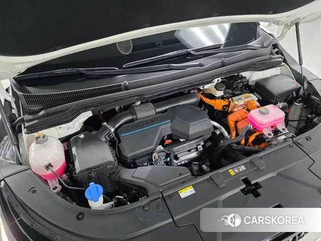 Kia The New Carnival 4th Generation id 3340228 из Кореи 18