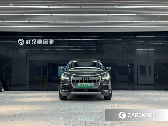Audi Q2L e-tron id 4307045 из Китая 11