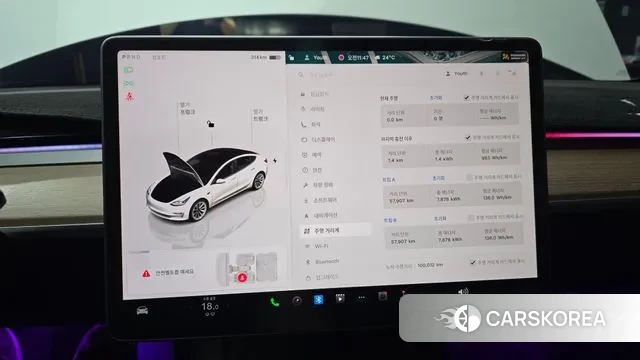 Tesla Model 3 id 3031937 из Кореи 18