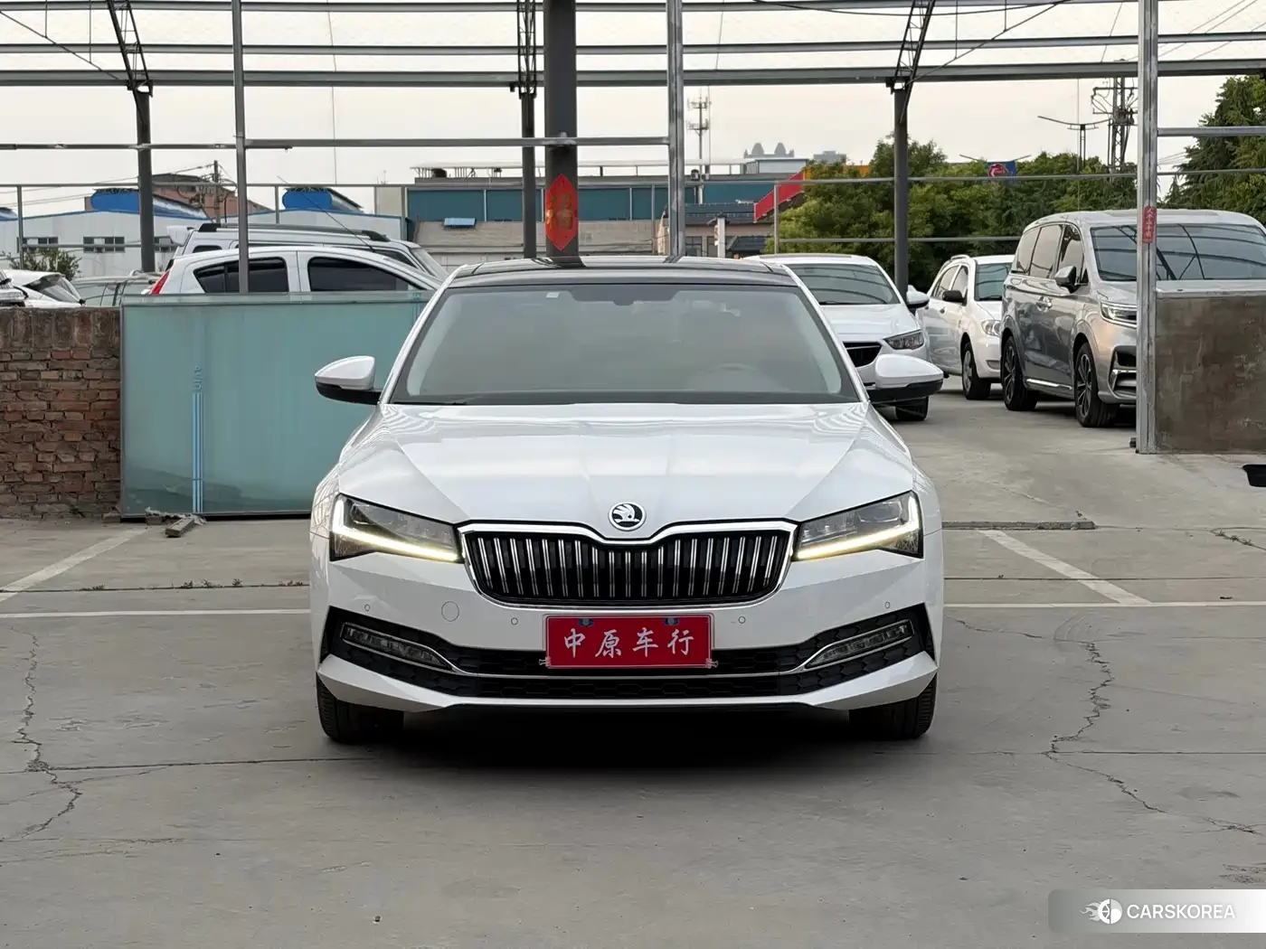 Skoda Speed pie id 4546078 из Китая 17