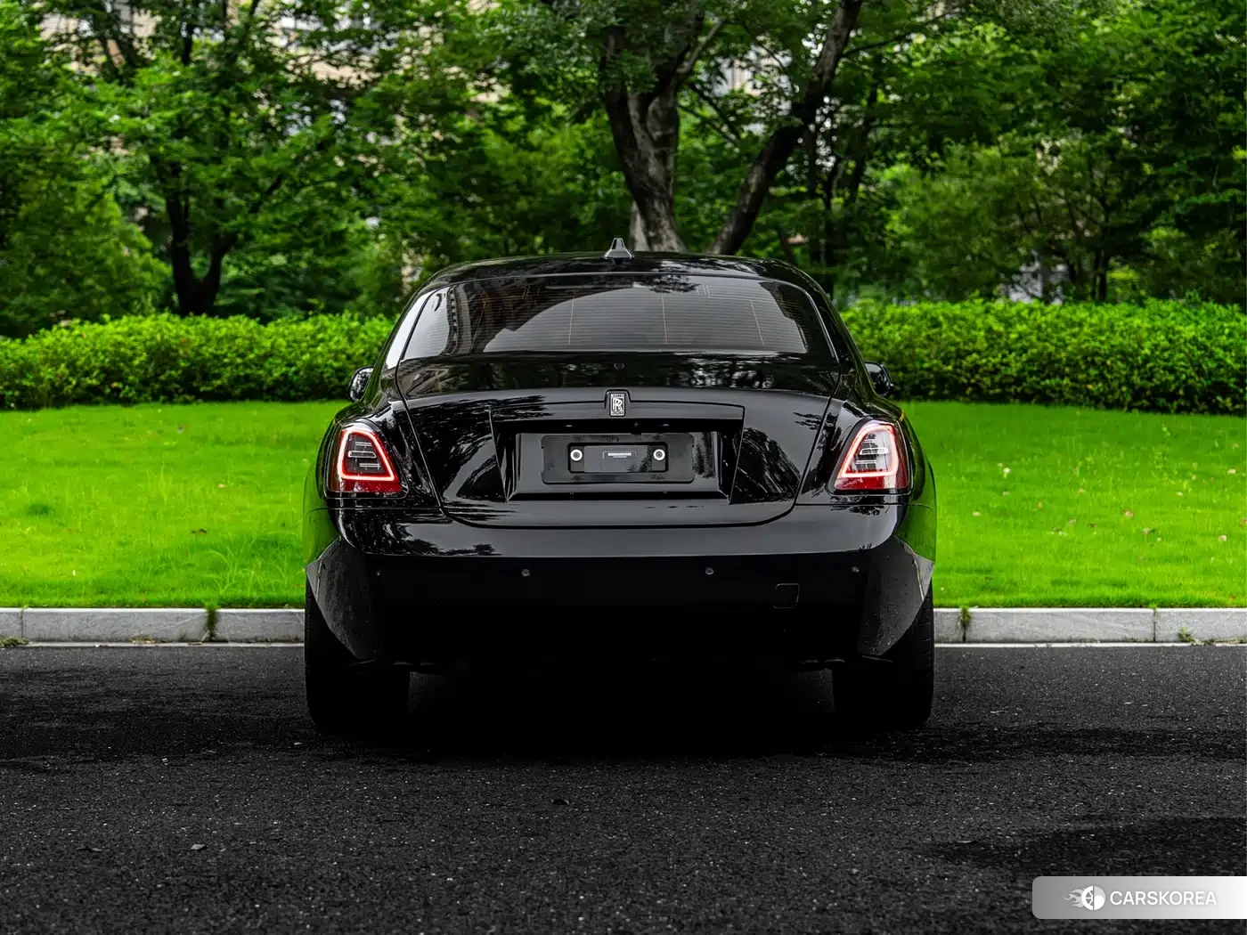 Rolls-Royce Gust id 4545647 из Китая 17