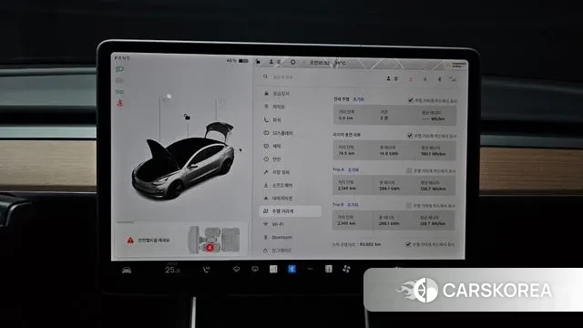 Tesla Model 3 id 3428671 из Кореи 18