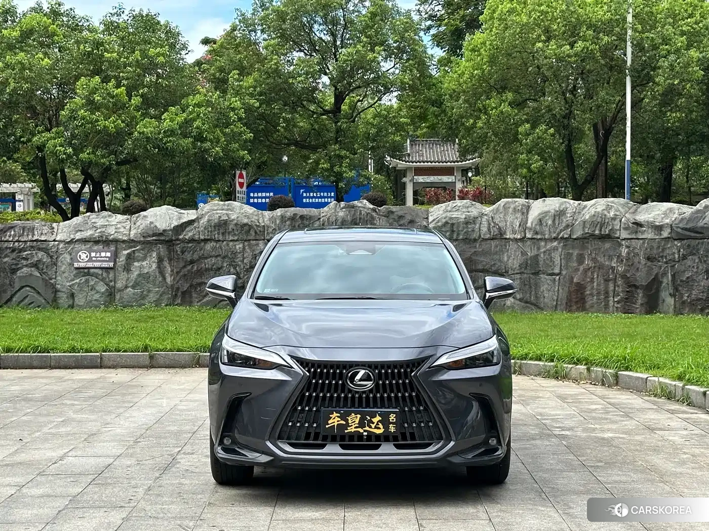 Lexus NX id 4565271 из Китая 13