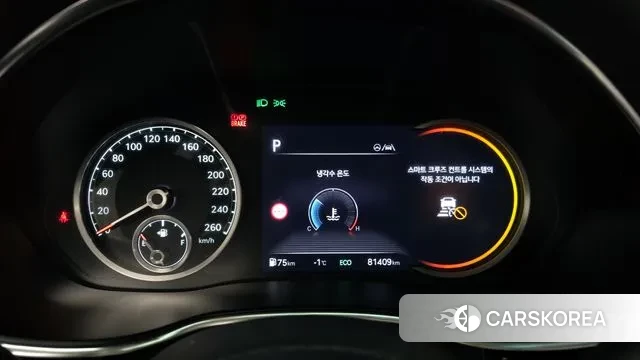 Genesis G80 (RG3) id 3635030 из Кореи 18