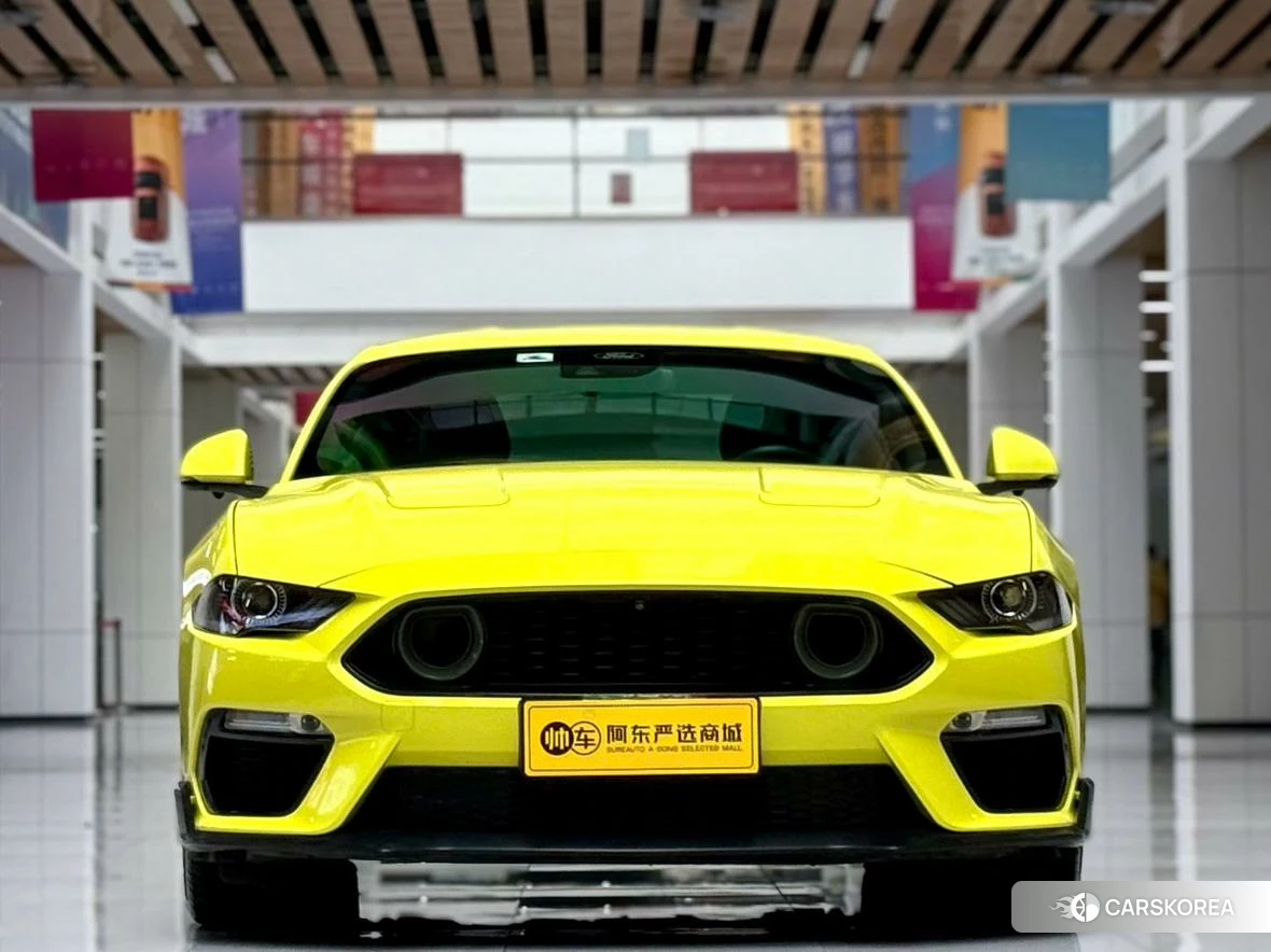 Ford Mustang id 4473698 из Китая 8