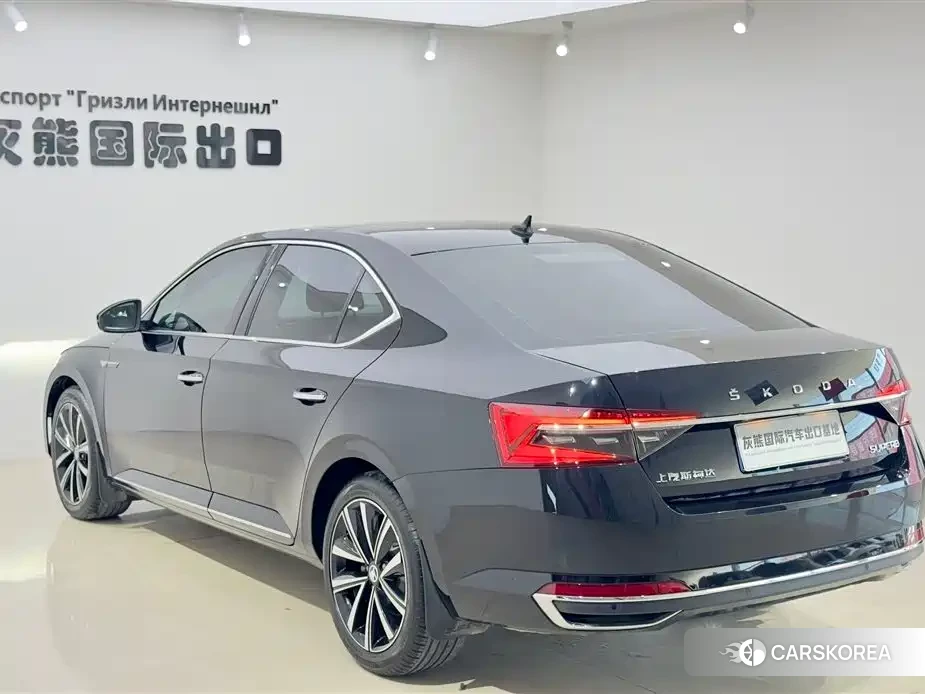 Skoda Speed pie id 4548301 из Китая 14