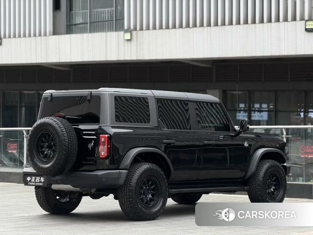 Ford Lie Ma id 4387630 из Китая 13