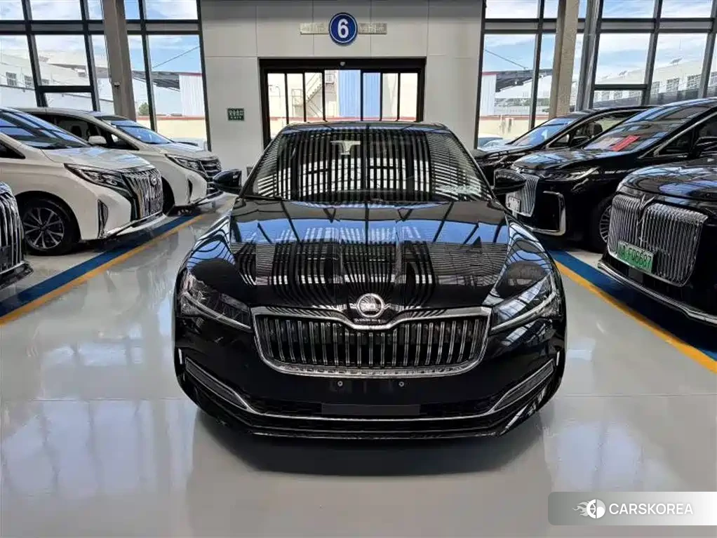Skoda Speed pie id 4538604 из Китая 8