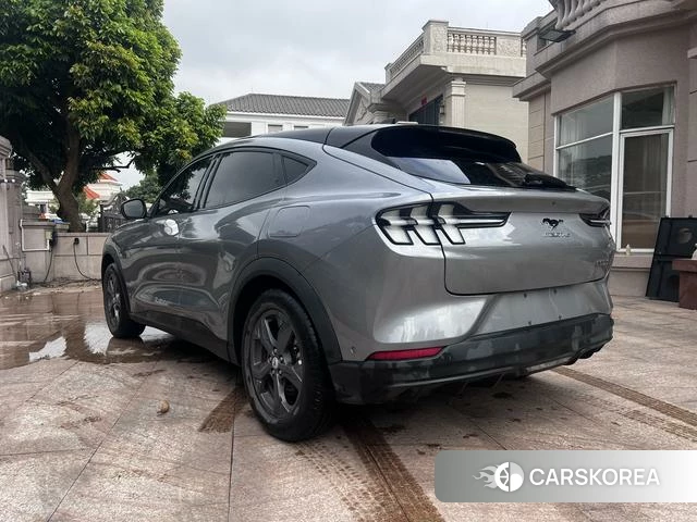 Ford Electric horse id 4220945 из Китая 11