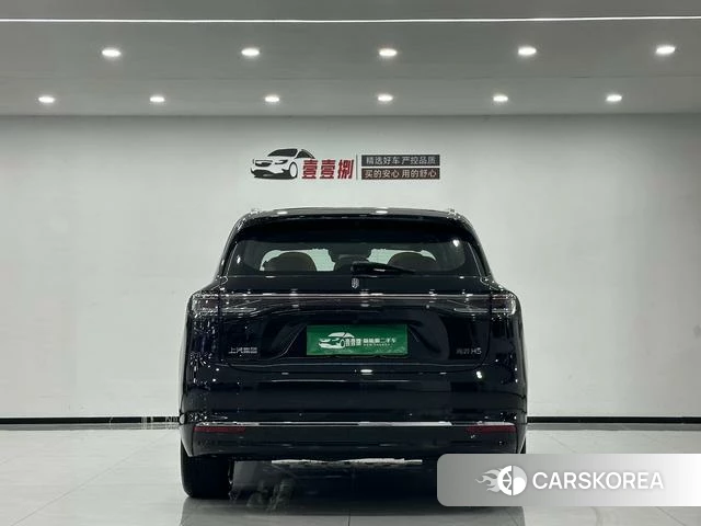 Shangjie H5 id 4239196 из Китая 8