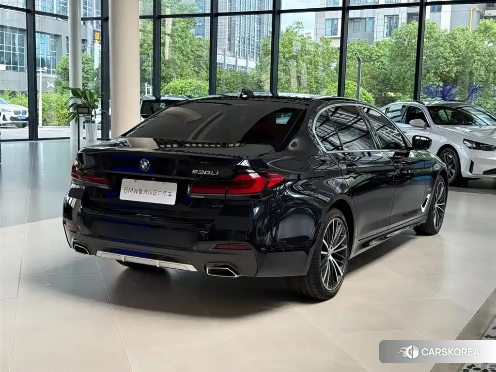 BMW 5 series id 4634729 из Китая 14