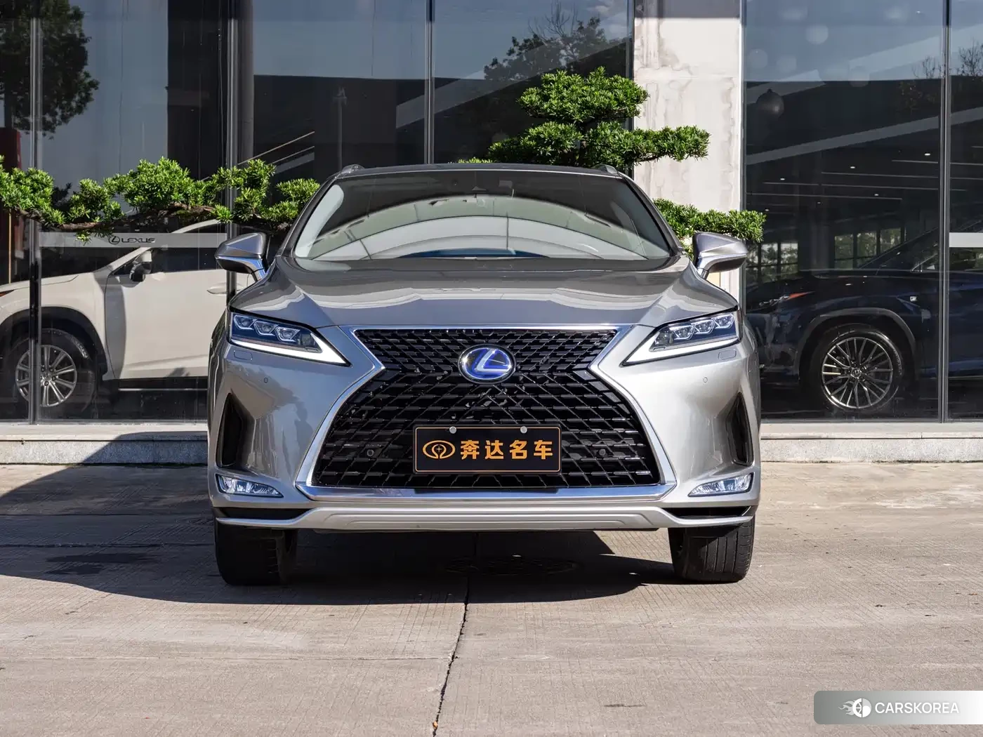 Lexus RX id 4554158 из Китая 20