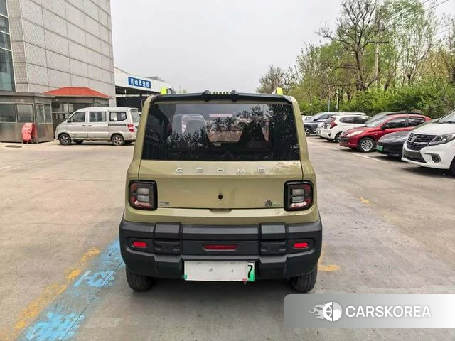 Geely Galaxy panda id 3927118 из Китая 8