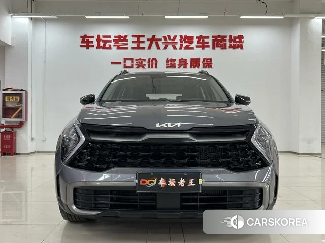 Kia Lion Platinum expands the world id 4262482 из Китая 9