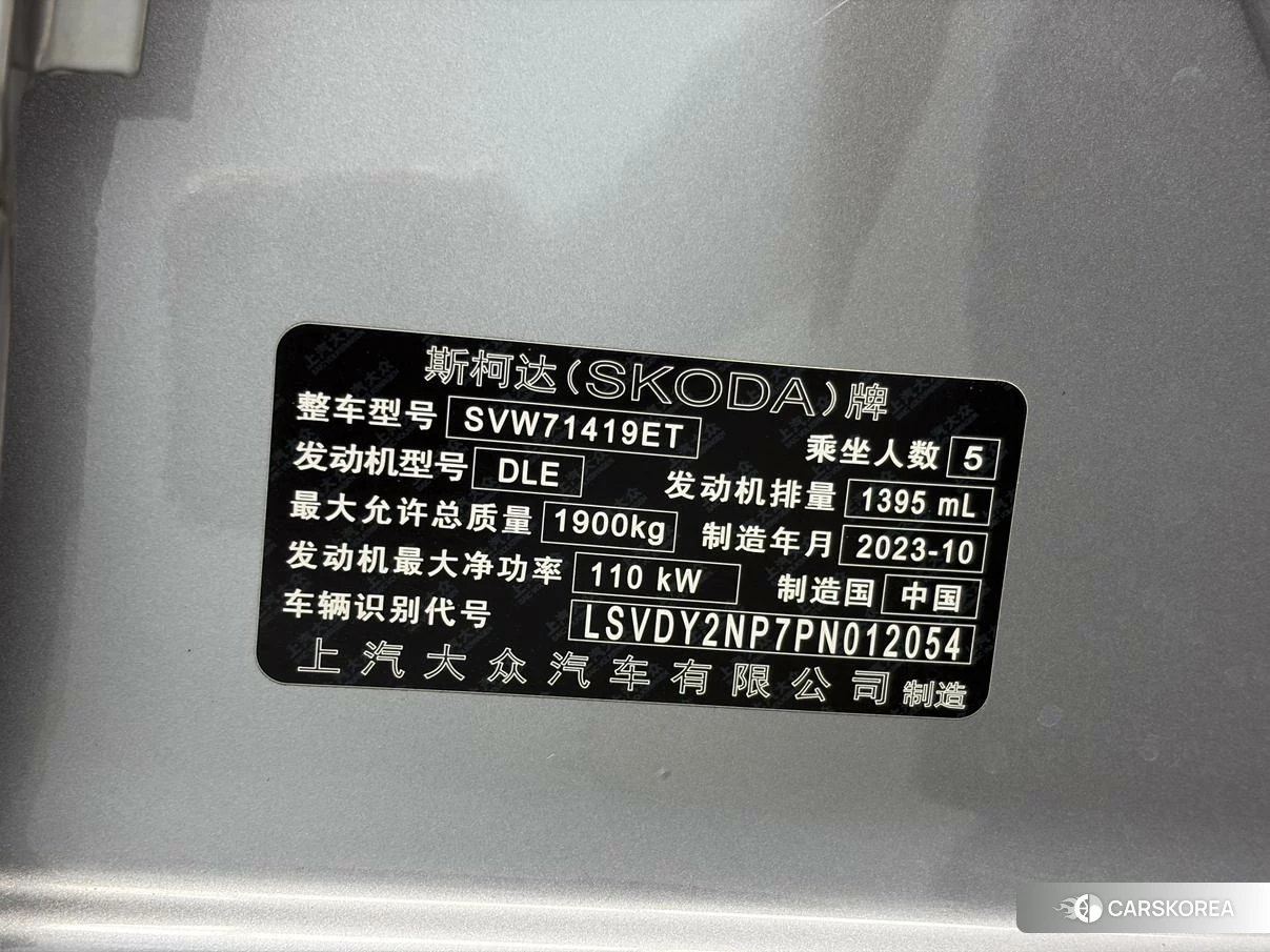 Skoda Speed pie id 4512842 из Китая 10