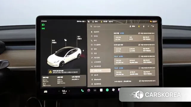 Tesla Model 3 id 3054026 из Кореи 18