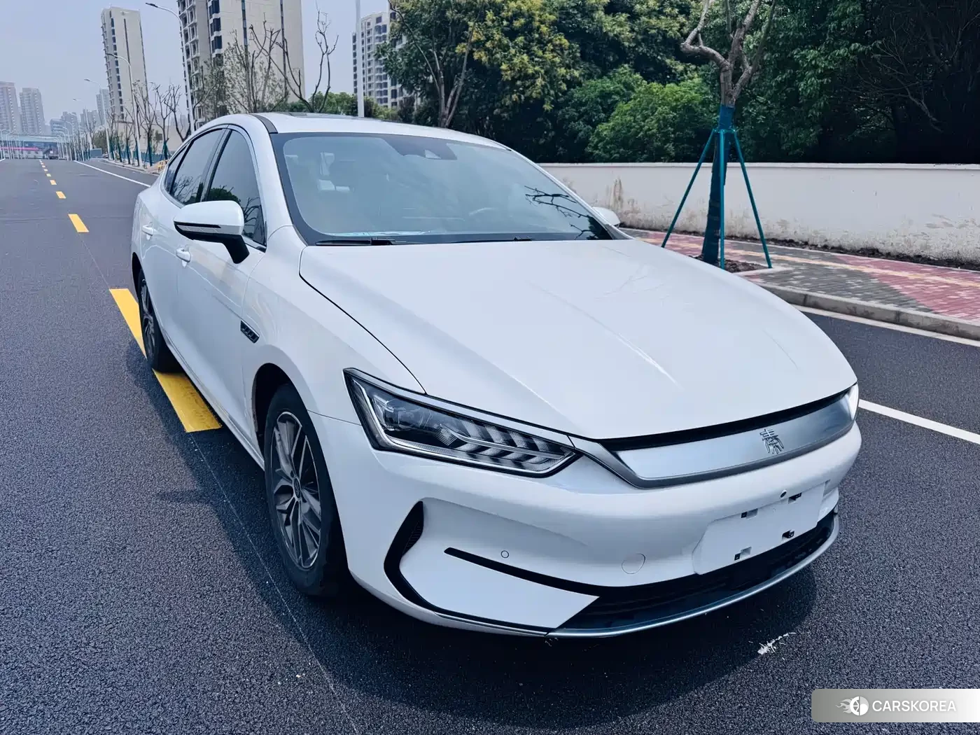 BYD Qin Yuan id 4547943 из Китая 20