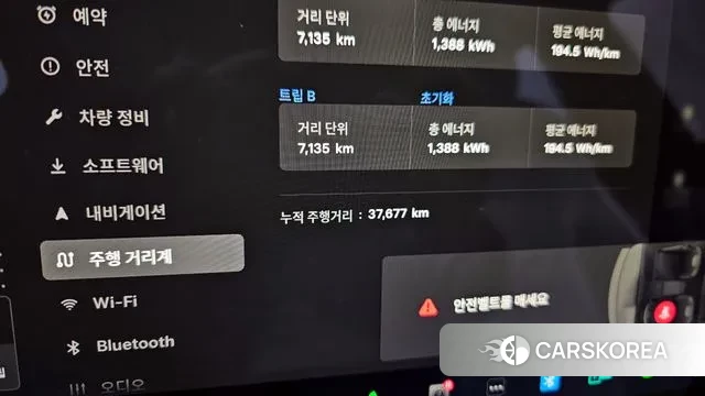 Tesla Model S id 3523765 из Кореи 18