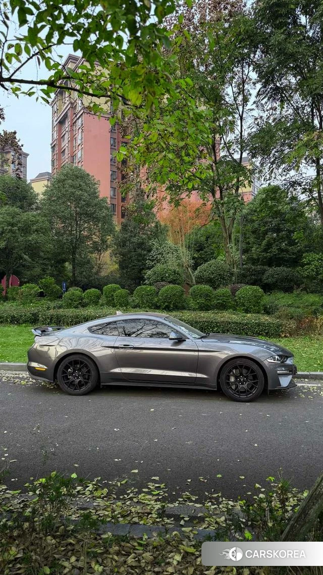 Ford Mustang id 4394173 из Китая 8