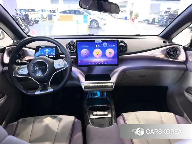 BYD dolphin id 4241378 из Китая 15