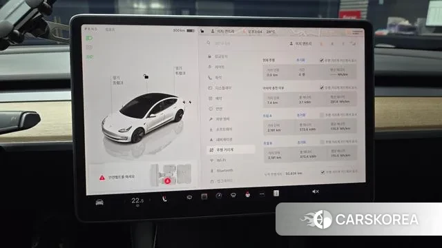 Tesla Model 3 id 3037105 из Кореи 18