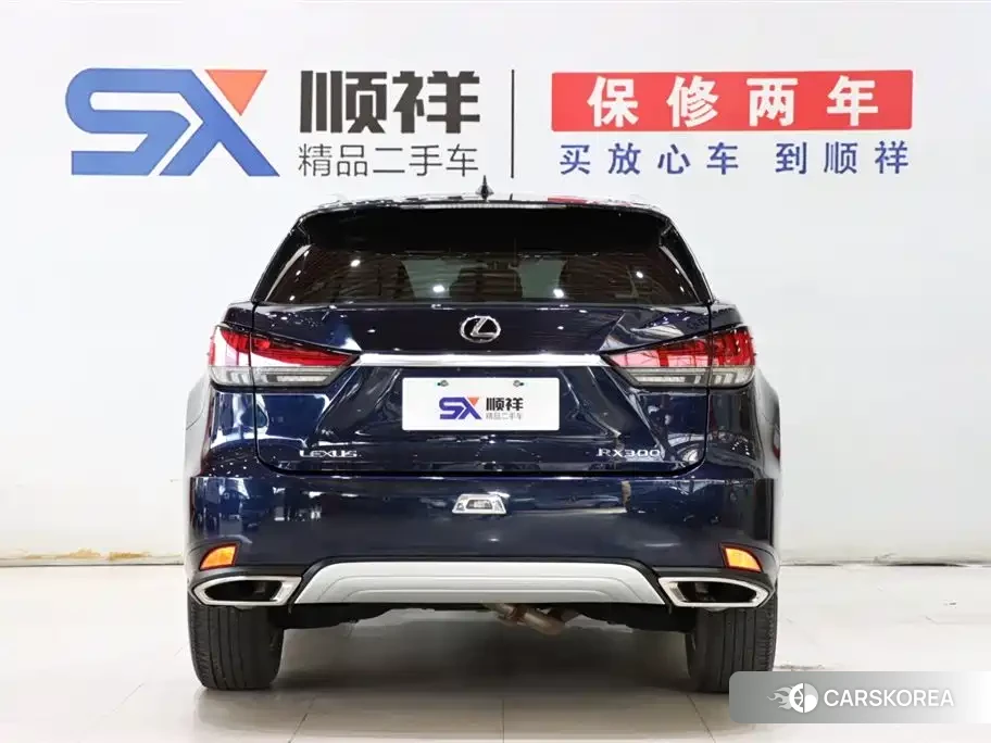 Lexus RX id 4553813 из Китая 18