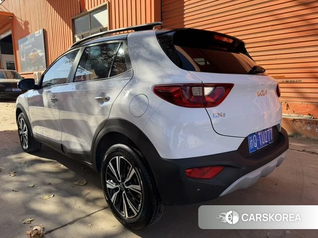 Kia Yi Ran id 4263455 из Китая 8