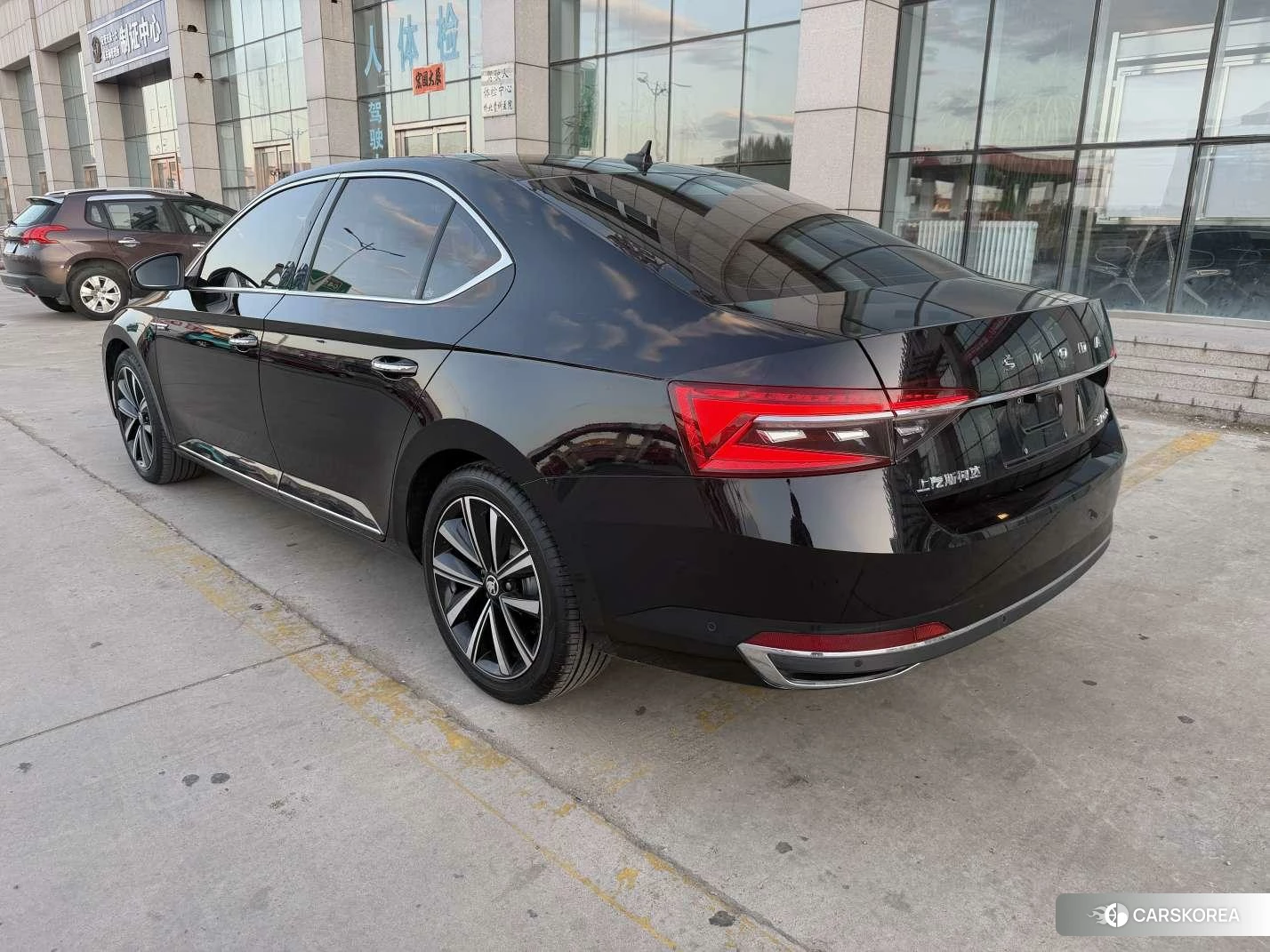 Skoda Speed pie id 4513867 из Китая 9