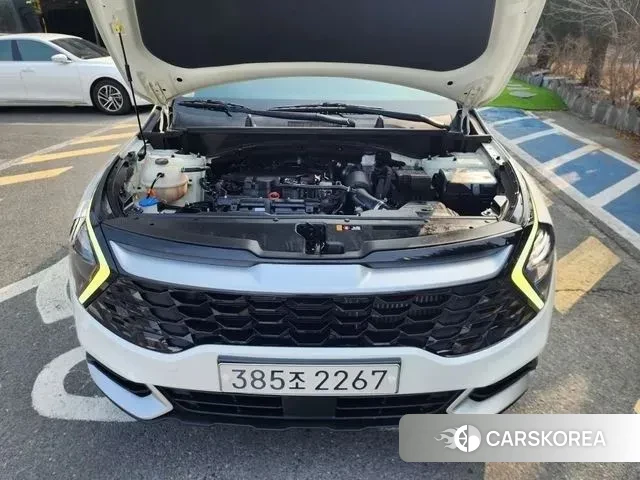 Kia Sportage 5th Generation id 3770958 из Кореи 18