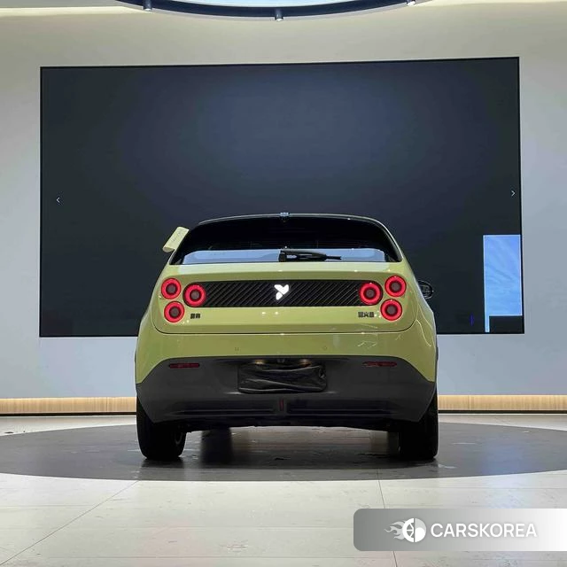 firefly firefly Unknown id 3993585 из Китая 30