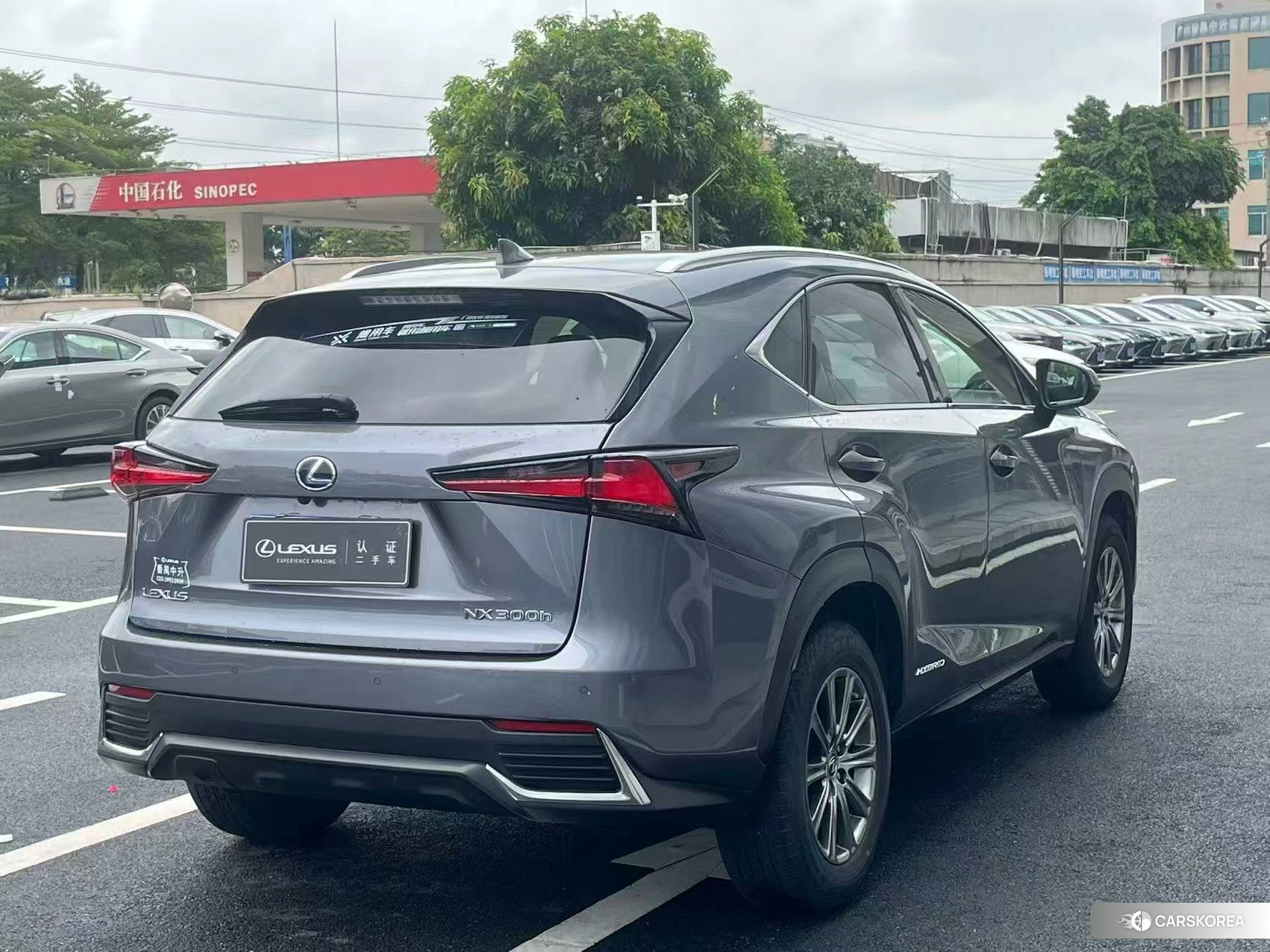Lexus NX id 4485376 из Китая 8