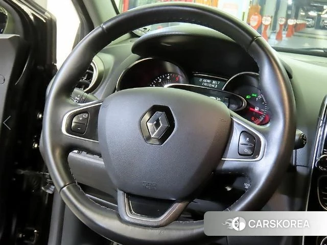 Renault Korea (Samsung) Clio id 4595685 из Кореи 17