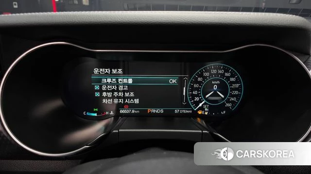 Ford Mustang id 3917010 из Кореи 18