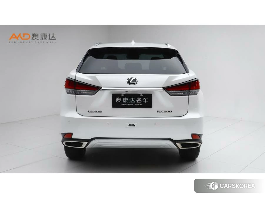 Lexus RX id 4473894 из Китая 8