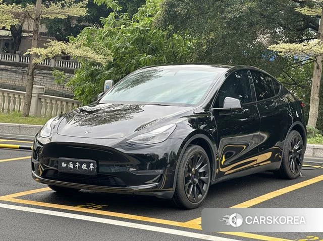 Tesla Model Y id 3896088 из Китая 9