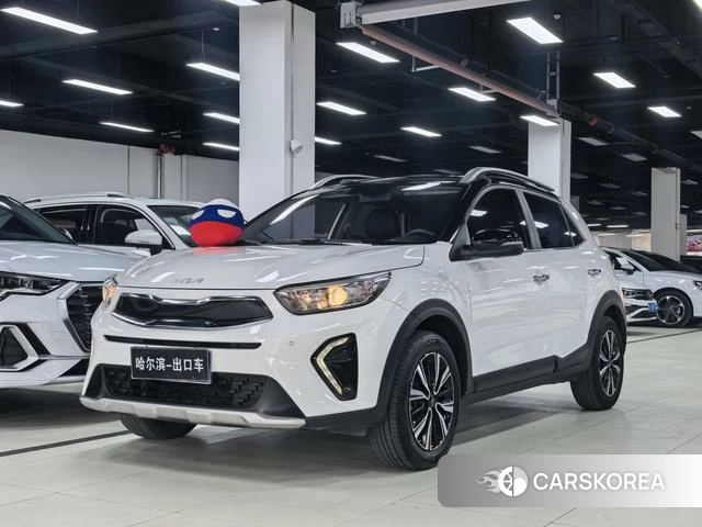 Kia Yi Ran id 4291416 из Китая 24