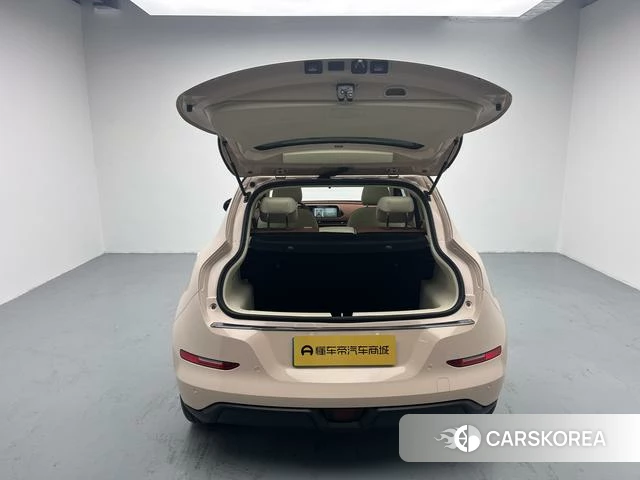 Euler Good cat id 4217474 из Китая 18