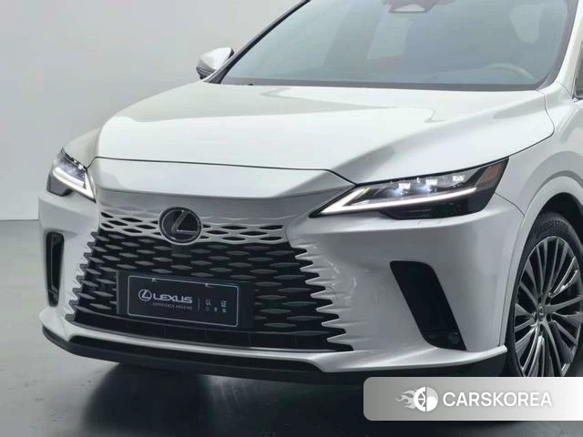 Lexus RX PHEV id 4277362 из Китая 14