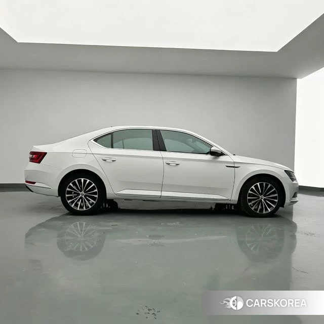 Skoda Speed pie id 4235866 из Китая 18