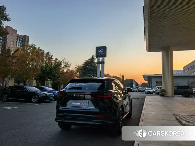 Lexus NX id 4262304 из Китая 14