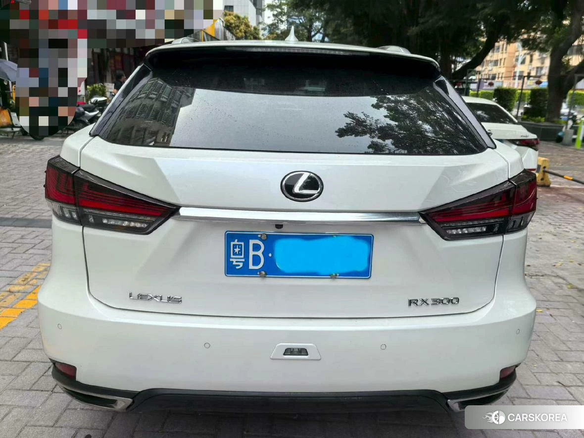 Lexus RX id 4441167 из Китая 8