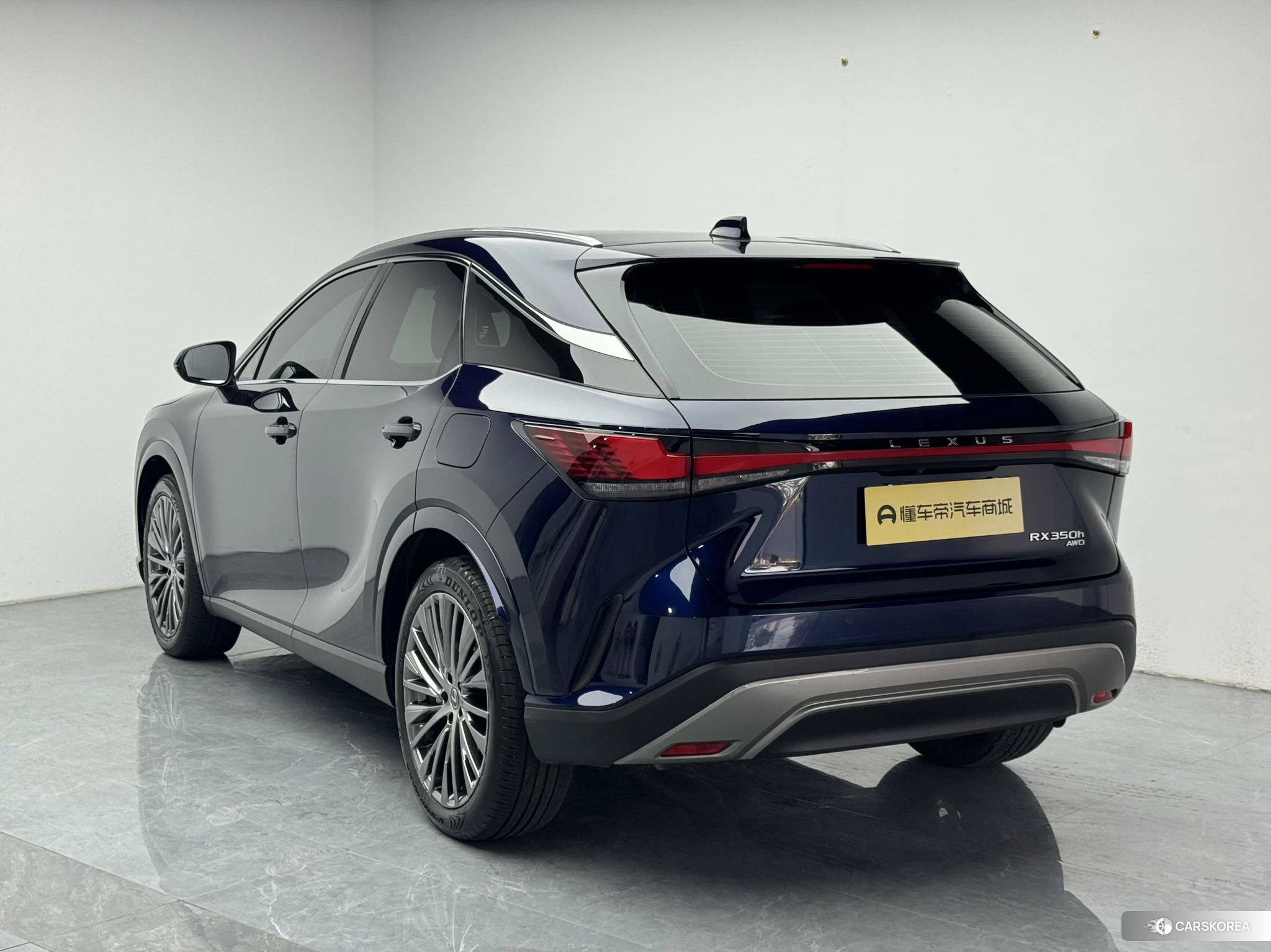 Lexus RX id 4515067 из Китая 17