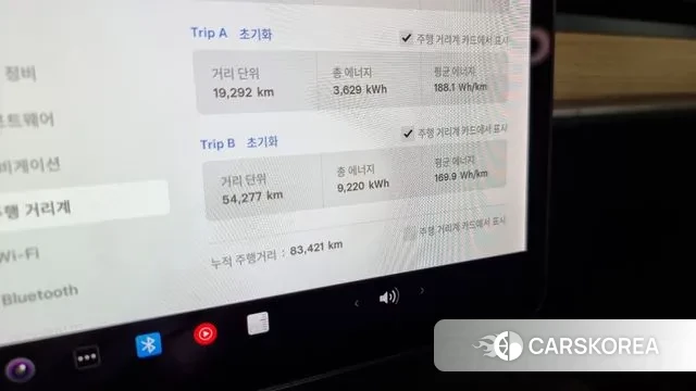 Tesla Model 3 id 3012361 из Кореи 18