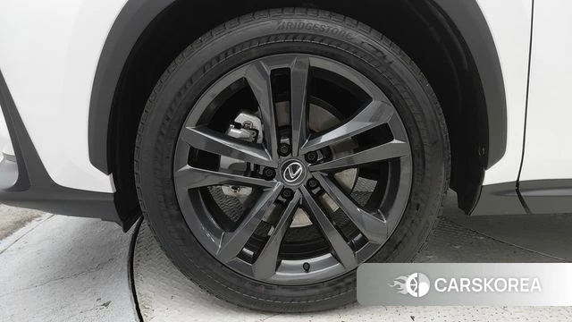 Lexus NX350h Second generation id 4302450 из Кореи 18