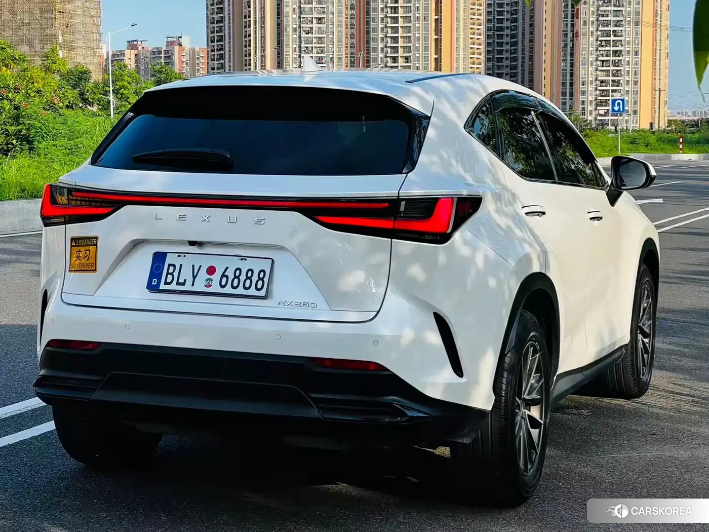 Lexus NX id 4514126 из Китая 11