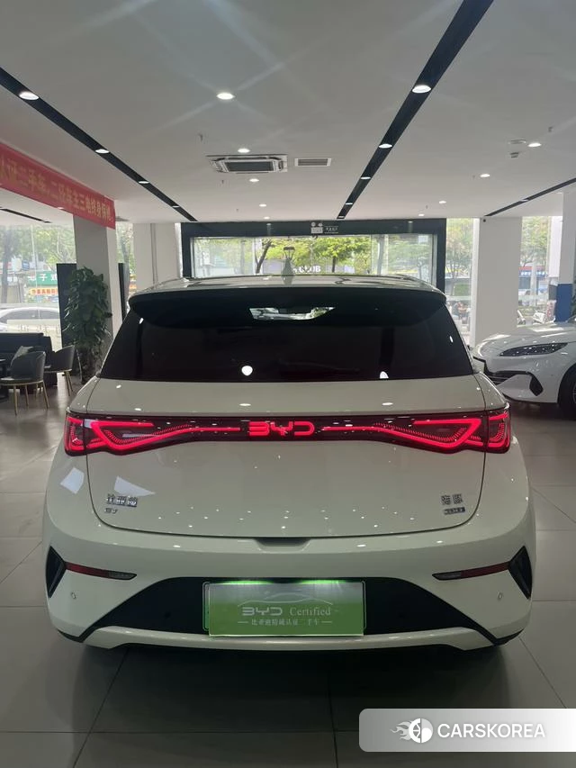 BYD dolphin id 3939402 из Китая 9